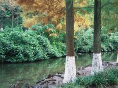 -重庆彩云湖湿地公园