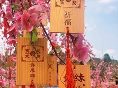 -田园寨农园观光园