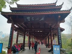 -重庆彩云湖湿地公园