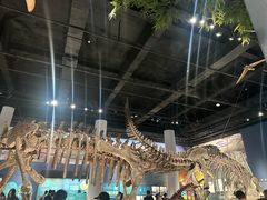 -国家自然博物馆