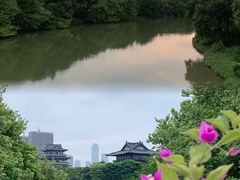 -海珠湖公园