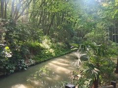 -同里国家湿地公园