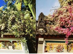 -深圳国际园林花卉博览园