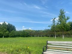 -永定河休闲森林公园