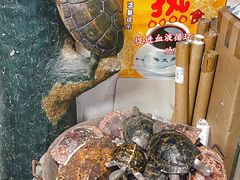 -海天堂(玉带濠店)
