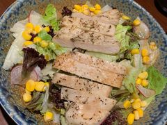 -山杏yama-katsu·吉列炸物