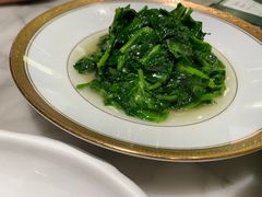 -蝶园·装修中(BFC外滩金融中心店)