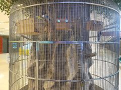 -东四民芳餐厅(世茂工三店)