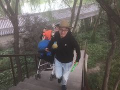 -东方巨龟苑景区