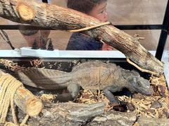 -上海昆虫博物馆