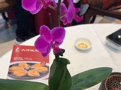 -金河半岛园林酒家(金融城店)