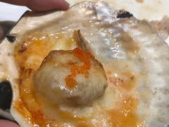 烤芝士扇贝王-大渔铁板烧(蛇口店)