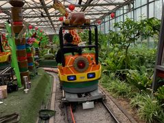 -南宫五洲植物乐园