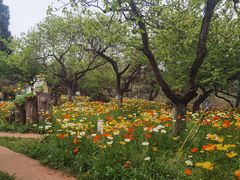 -名花谷生态庄园