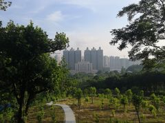 -中山市树木园