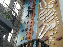 -尽峰攀岩 Acme Climbing