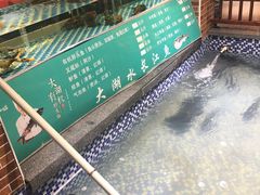 -醉湘厨艺(才华街店)