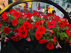 -巴伐利亚啤酒坊(意式风情街店)