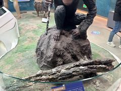 -国家自然博物馆