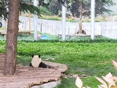 -西安秦岭野生动物园