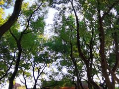 -上海市龙华烈士陵园