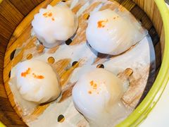 -采蝶轩