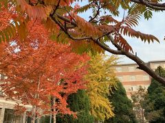 -辽宁大学(崇山校区)