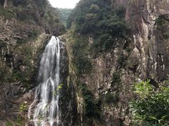 -龙湾潭国家森林公园