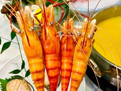 -喜聚薈·花膠雞海鮮火鍋(越秀店)