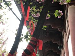 -西安青龙寺遗址景区