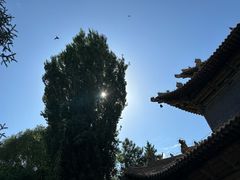 -张掖大佛寺景区