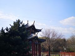 -黑龙江省森林植物园