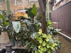 -绿房子方寸咖啡(星海名城店)