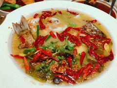 金汤酸菜海鲈鱼-肴约·花园式餐厅(湖里店)