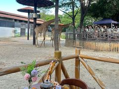 -灵玲国际马戏城