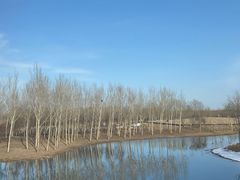 -东郊湿地公园