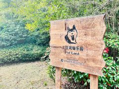 -上海崇明金茂凯悦酒店