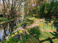 -上海共青森林公园