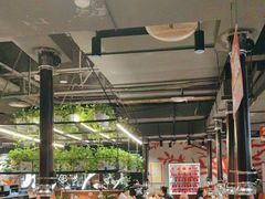 -猫爪爪原切自助烤肉(观音桥阳光世纪店)