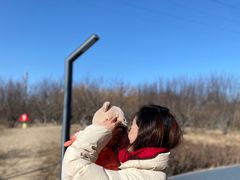 -巴依老爷新疆美食(望京小街店)