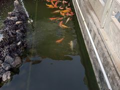 -鸡鸣山旅游景区