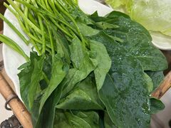 -芦月轩羊蝎子(北蜂窝店)