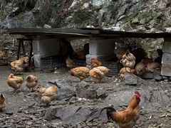 -途中饭店(开化店)