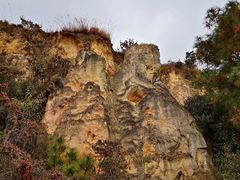 -彩色沙林风景区