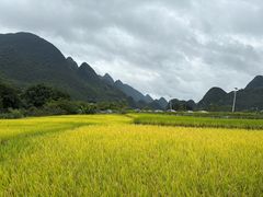 -高荡千年布依古寨旅游景区