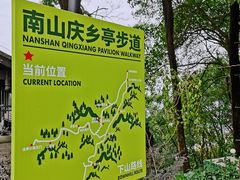 -南山植物园