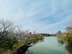 -上海海湾国家森林公园