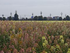 -中国天府农业博览园