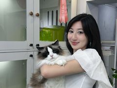 -青奢宠物·青奢猫舍