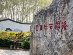 -洛阳市牡丹公园